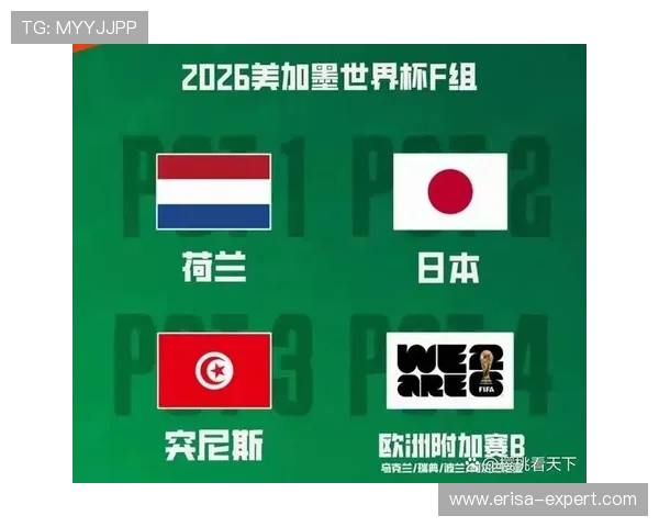 2026年世界杯突尼斯对阵日本比赛中两国国旗展示亮点解析